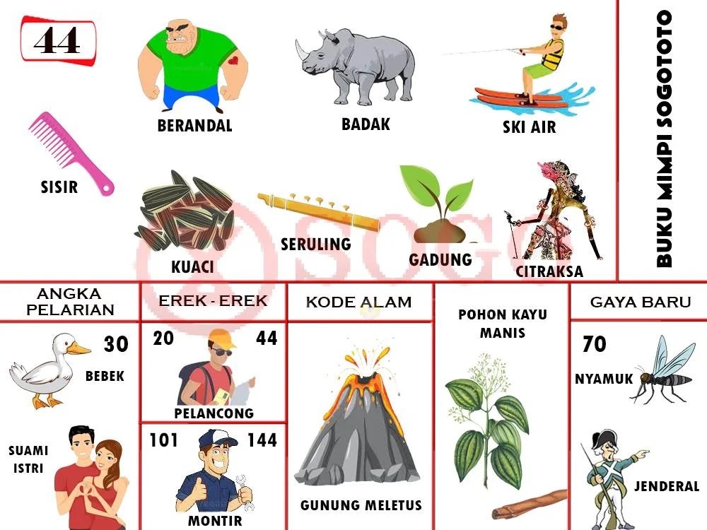 buku mimpi erek erek togel 44
